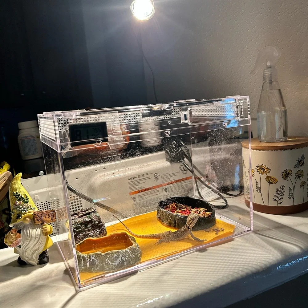 5 gallon terrarium